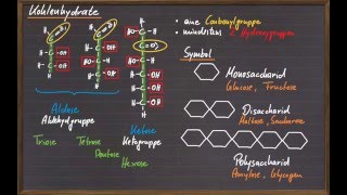 10 Kohlenhydrate [upl. by Placido]