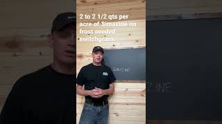 How much Simazine is safe on switchgrass deerhunting deerhabitat shorts switchgrass [upl. by Earal]