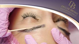 Deluxe Brows® Permanent Makeup Removal Training [upl. by Stafani]