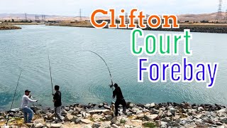 Clifton Court Forebay was insane shorts yotubeshorts youtube reels fishing life khmer [upl. by Monarski769]