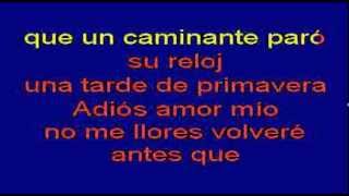 Diego Torres  Penelopekaraoke [upl. by Finer33]