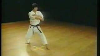 Nijushiho  Shotokan Karate [upl. by Megan]