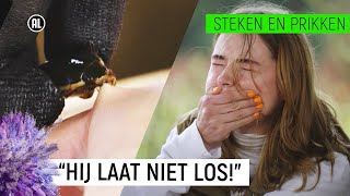 EMMA WORDT GEBETEN DOOR WATERROOFKEVER  Steken en Prikken 4  NPO Zapp [upl. by Eiramlatsyrc497]