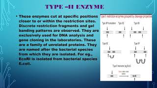 Restriction Enzymes  Classification Nomenclature and activity Restriction mapping of DNA [upl. by Singh602]