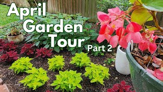 April 2024 Backyard Garden Tour  Part 2  pollinator garden🦋🐛  Texas Gulf Coast Zone 9b [upl. by Stern]