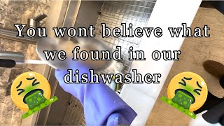 YOU WONT BELIEVE WHAT WE FOUND IN OUR DISHWASHER [upl. by Ladin]