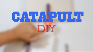 How to Make a Catapult EASY DIY [upl. by Adnam]