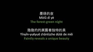 田馥甄  墨绿的夜  Hebe Tien  Jasper Night  Lyrics pinyin English translation [upl. by Andrien942]