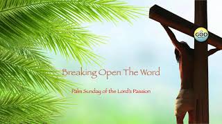 March 24 Palm Sunday Bishop Barron [upl. by Acirahs802]