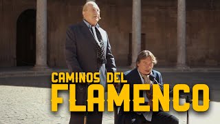 Jaime El Parrón y Curro Albaicín  Caminos del Flamenco  La2 [upl. by Anelhtac810]