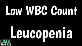 Leucopenia  Low WBC Count  Causes Symptoms Treatment Of Leucopenia  Types Of Leucopenia [upl. by Bakeman]