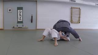 Aikido Unlimited  Escape to Top Control [upl. by Rexanne]