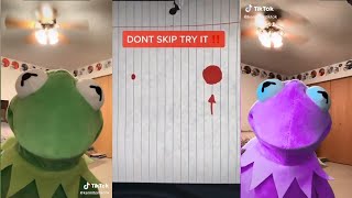 Funny Kermit on TikTok Videos Compilation Best kermitontiktok 2021 [upl. by Jobye]