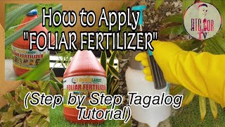 How to apply FOLIAR FERTILIZERStep by Step Tagalog Tutorials Proud Filipino Made RTCCorTV [upl. by Santos]