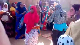 NIIKO MACAN BADAN NIIKO SOMALI DANCE [upl. by Einnos]