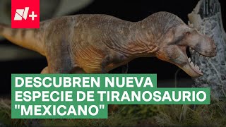 Descubren nueva especie de Tiranosaurio que vivió en la actual Coahuila  N Shorts [upl. by Ecnarretal648]