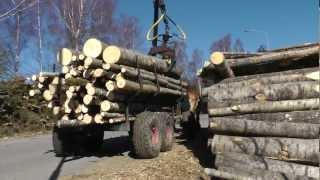 Horse logging Sweden [upl. by Amick]