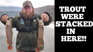 I CAUGHT 2 HUGE BROWN TROUT Fishing for brown trout in Vermont [upl. by Yllaw373]