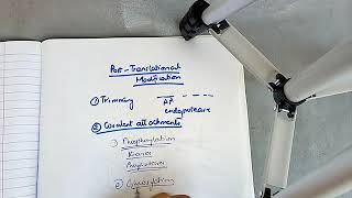 POST TRANSLATIONAL MODIFICATIONS of protein explained in simple way [upl. by Aleydis]