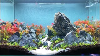 TUTORIAL BRAZILIAN STYLE AQUASCAPE 60P PART 2 [upl. by Iveel423]