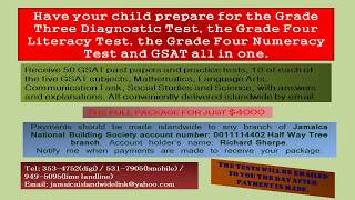 PEP  GSAT  Grade 4 Literacy amp Numeracy Test  Grade 3 Diagnostic Test Past Papers With Answers [upl. by Pulling]