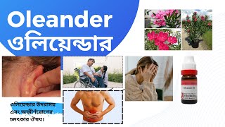 Oleander  ওলিয়েন্ডার  Materia Medica  Learn oleander easily [upl. by Graves]