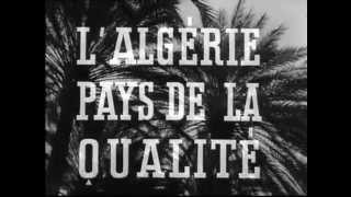 Exportation des fruits et légumes en Algérie 1948 [upl. by Ragnar]