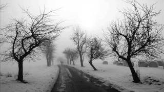 Rockas Delight  Foggy road [upl. by Miarzim]