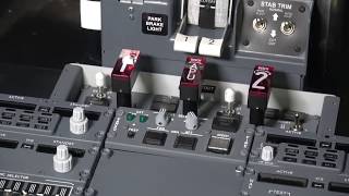 The construction and details of my 737800 cockpit simulator [upl. by Bluma]