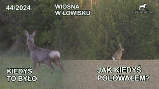 Poranne wyjście z Mariuszem  Jak kiedyś się polowało  SUDECKA OSTOJA 442024 hunting in Poland [upl. by Eivets317]