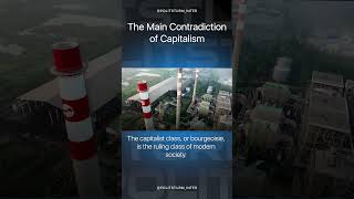 The Main Contradiction of Capitalism shorts capitalism socialism politics [upl. by Phemia554]