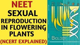 Sexual Reproduction in Flowering Plants Class 12 Biology Chapter 1  One Shot Revision Boards 2024 [upl. by Reld]