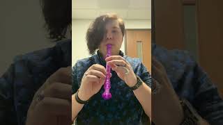 D Major Scale on Recorder [upl. by Russell]