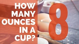 How Many Ounces in a Cup  Conversion Guide [upl. by Wickner]