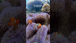 Why Every Clownfish Starts as a Male [upl. by Girhiny]