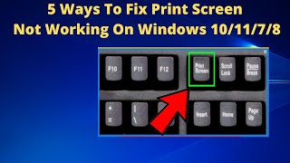 5 Ways to Fix Print Screen Not Working On Windows 101178 [upl. by Peterus]