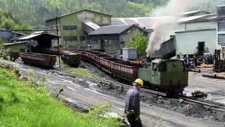 Banovici Coal Mine  Bosnian Narrow gauge Steam in Spring Sunshine bosnia bosniansteam steamloco [upl. by Eeldivad]