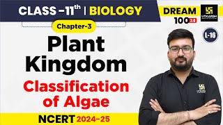 Class 11 Biology Ch 3  Plant Kingdom  Classification of Algae  L16  Shubham Sir [upl. by Sebastien]