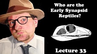 Lecture 33 Who are the Early Synapsid Reptiles [upl. by Vina]