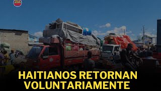 Haitianos retornan voluntariamente tras operaciones de repatriación en RD [upl. by Eissed]