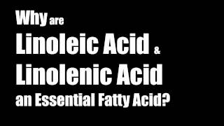 Why are Linoleic Acid amp Linolenic Acid an Essential Fatty Acid [upl. by Deroo]