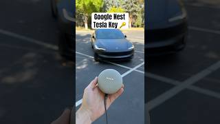 Can I Unlock My Tesla With a Google Nest Mini 😳👀 [upl. by Tenaej]