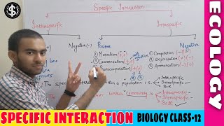 lect3specific interaction class 12 BiologyInterspecific and Intraspecific interactons in ecology [upl. by Enileoj859]