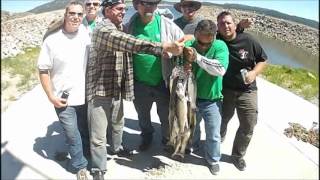 Panguitch Lake Catch of The Day quotRancho Boys Catch 100 lbs Easyquot 6292012 [upl. by Iams580]