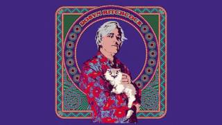 Robyn Hitchcock  “Raymond And The Wires” Official Audio [upl. by Honoria]