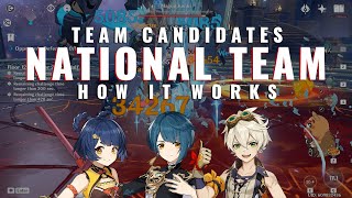 National Team Guide  Rotations amp Characters  Genshin Impact [upl. by Genna]