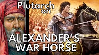 Alexander The Greats Warhorse [upl. by Siaht]