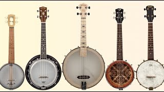 Review Banjo Ukes from Deering Kala Luna Gold Tone and Magic Fluke [upl. by Ettenwahs295]