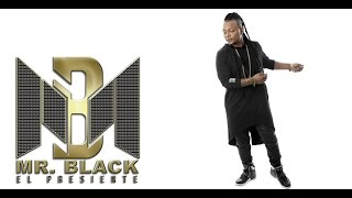 Mi Fanaticada Audio  Mr Black El Presidente ® 2013 [upl. by Aneroc]