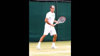 Roger Federer forehand practice in slow motion SlowMotion RogerFederer [upl. by Idoux205]